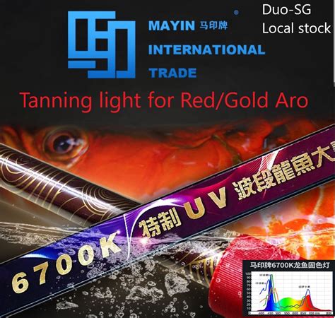 Mayin Authorized Sg Sellermayin Fish Light Tanning Light K K