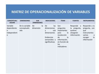 Operacionalizacion Matriz De Variables Ppt