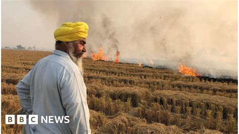 Stubble Burning Why It Continues To Smother North India Bbc News