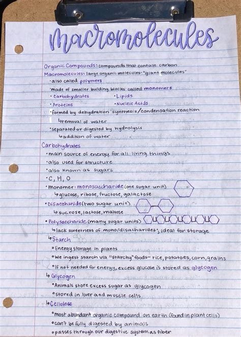 Macromolecules Notes Biology Notes Medical School Inspiration