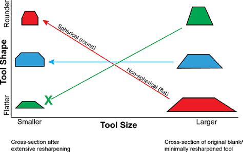 Schematic Depicting The Red Blue And Green Allometric Models Adapted