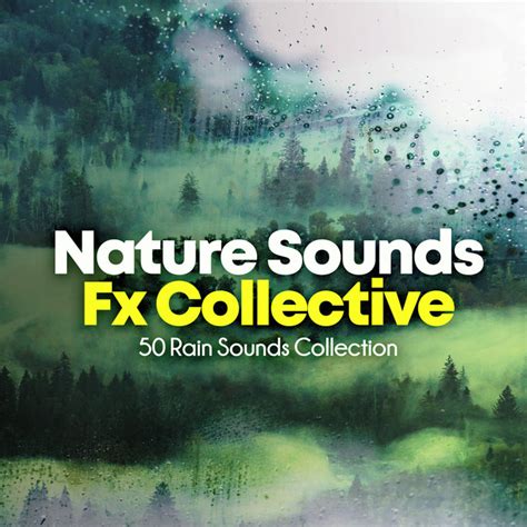 Nature Sounds Fx Collective 50 Rain Sounds Collection Album By