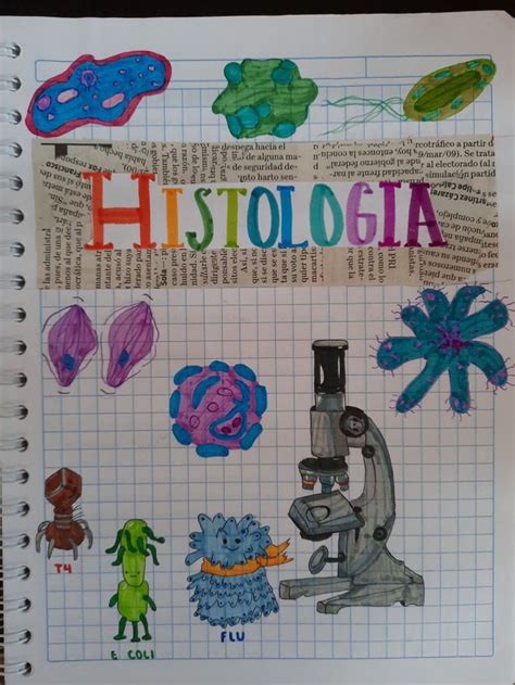 Portada De Histolog A Cuaderno De Notas Portadas Notas