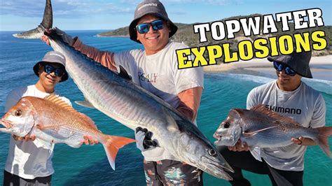 Snapper Spanish Mackerel Fishing Off Moreton Island YouTube