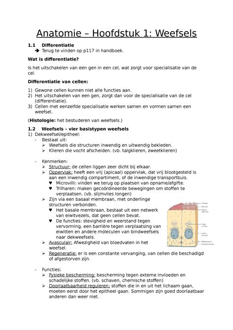 Samenvatting Anatomie Weefsels Anatomie Hoofdstuk 1 Weefsels 1