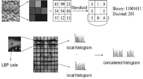 Figure 3 From A Review Paper On Face Recognition Techniques Semantic Scholar