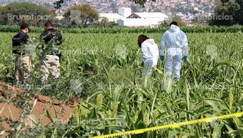 Localizan A 1 Hombre Víctima De Homicidio Cerca De San José De Los Sabinos Pénjamo Brunoticias