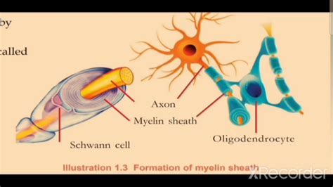 Sslc Biology English Medium Chapter 1 Youtube