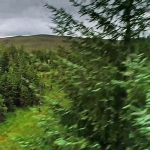 Naked Alone And Racing To Get Home Lpsg