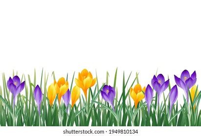 Snowdrop Border Images Stock Photos Vectors Shutterstock