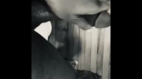Большой Черный Член Pornhub Gay