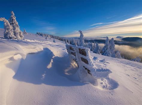 Wandern Am Feldberg Wanderwege Und Touren