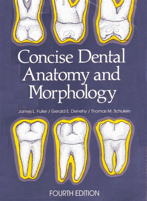 Concise Dental Anatomyandmorphology0874141257 Dental Anatomy