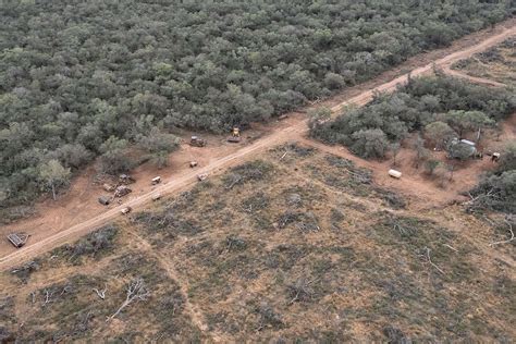 Fundación Greenpeace Argentina Greenpeace denuncia a los dueños de