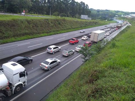 Motorista morre e passageiros ficam feridos após carro bater em cavalo