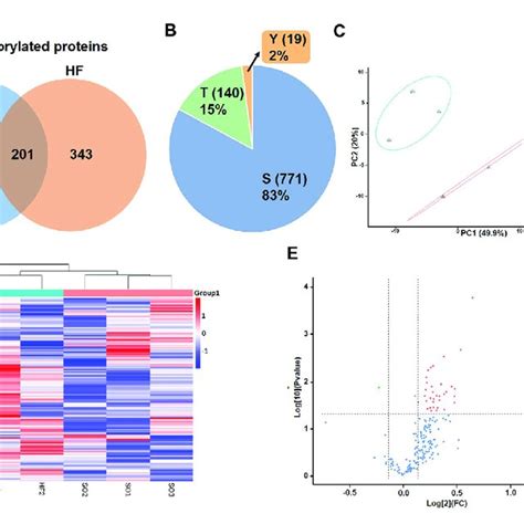 Identification Of Differentially Expressed Phosphorylated Proteins A