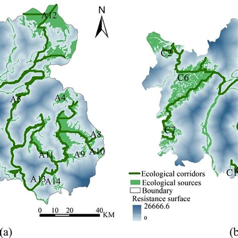 Simulation Results Of Ecological Network Based On Two Methods A