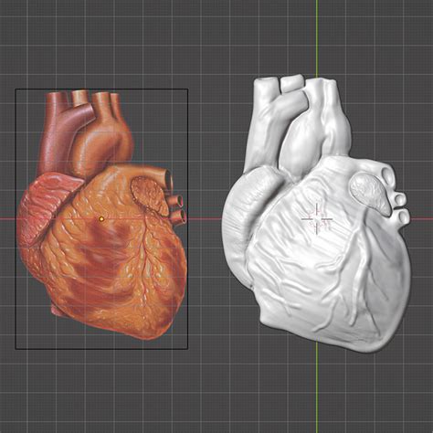 Archivo Stl Gratuito Corazón Humano En 3d・idea De Impresión 3d Para