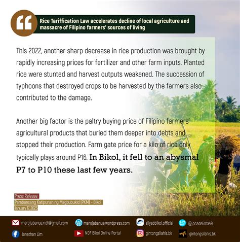 Rice Tariffication Law Accelerates Decline Of Local Agriculture And