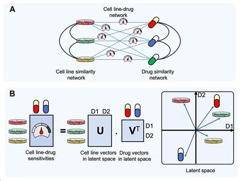 Two Principal Types Of Recommender Systems Rs For Drug Response