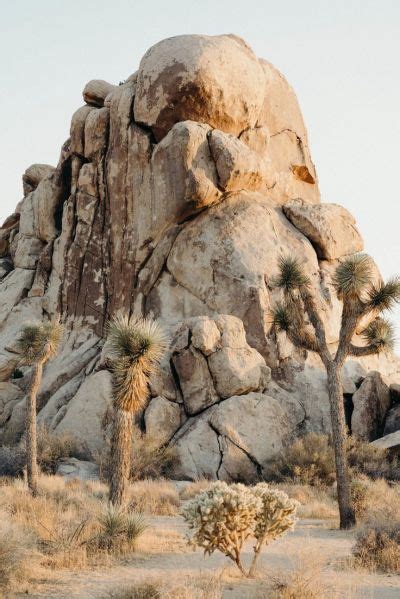 The Perfect Itinerary Joshua Tree In One Day Artofit