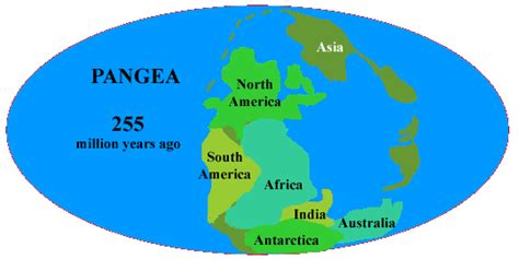 Permian Period Map