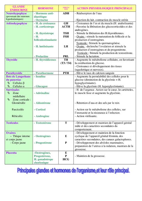 Tableau Recap Glandes Et Hormones Glande Endocrine Hormone Abrevia