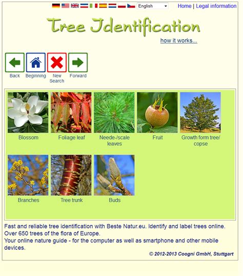 Free Tree Identification App Android IHSANPEDIA