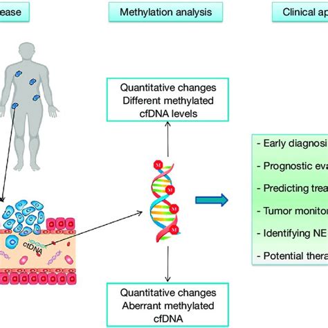 Epigenetic Alterations During Prostate Cancer Initiation And