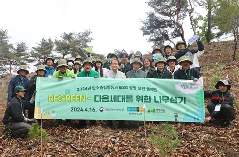 산림청 산림청 현대백화점그룹 ‘탄소중립의 숲 조성 뉴스 비즈투데이 요약도서 E카탈로그 뉴스 보도자료 홍보