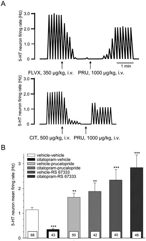 Effect Of A Combined Treatment With A Ht Receptor Agonist And An