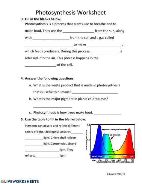 Photosynthesis In Plants Worksheet