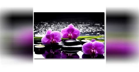 Tableau Zen Orchidée Rose et Bougies Sur Galets L 80 x H 55 Modalova