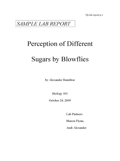 Lab Report Example 3 Free Templates In Pdf Word Excel Download