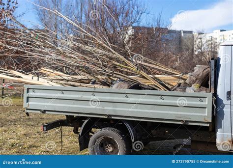 Cargo Truck Delivering from Nursery Plants and Tree Seedlings for ...