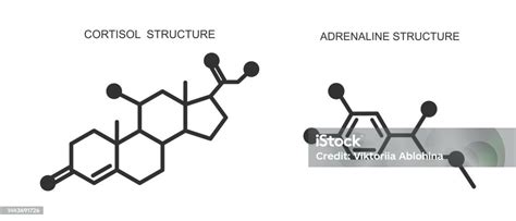 Cortisol And Adrenaline Icons Hydrocortisone And Epinephrine Chemical