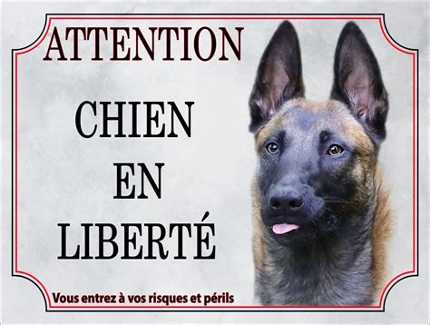 Plaque Attention Chien En Libert M Tal Aluminium Cm X Cm