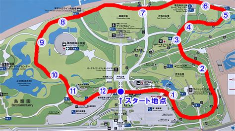 【レビュー】葛西臨海公園ランニングコース紹介！1周28kmで初心者におすすめ