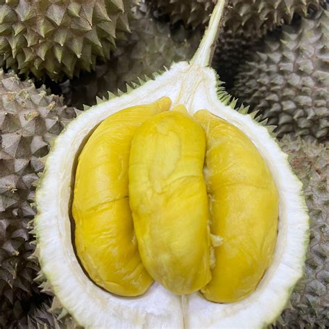 Penang Mao Shan Wang Musang King Msw G Durian Delivery Singapore