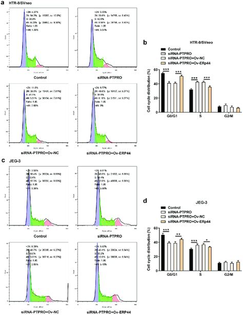 Downregulation Of Ptpro Promoted Cell Cycle Progression By Suppressing