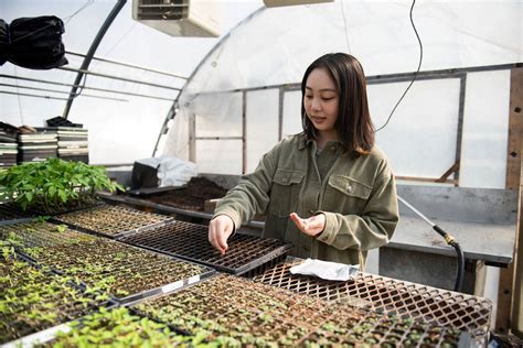 Ratemyprofessors McGill scores impact student course choices 8