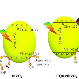 Scheme 1 Proposed Photocatalytic Mechanisms For BzP Degradation Over