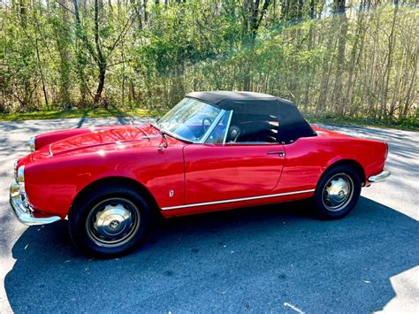 1965 Alfa Romeo Giulia Spider For Sale