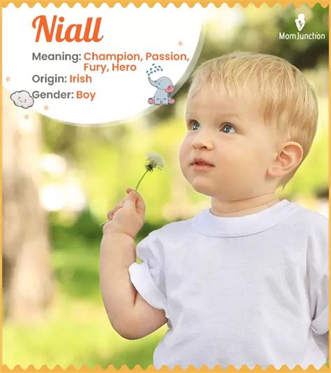 niall  meaning origin history  popularity