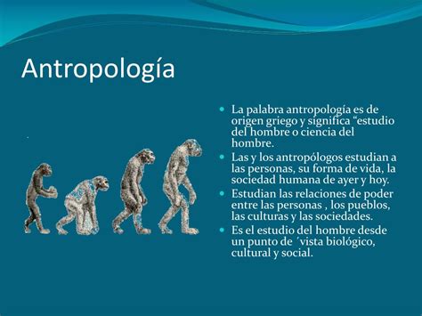 PPT Antropología PowerPoint Presentation free download ID 6446693