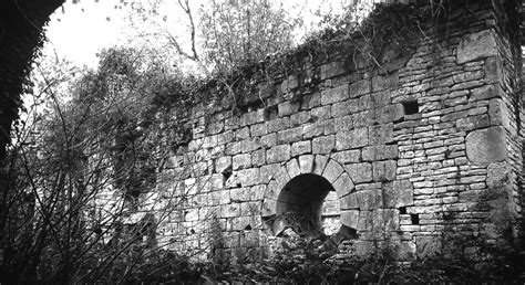 Villejoubert Charente Chapelle Ruin E De La Macarine Dans La For T