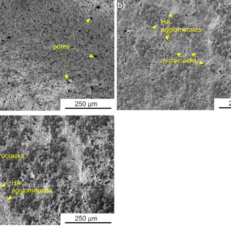 Surface Morphology Of The Zns Peek Layers After Deposition At 30 V A Download Scientific