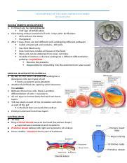 7 DEVELOPMENT OF THE HEART AND BLOOD VESSELS Docx DEVELOPMENT OF THE