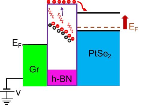 Figure S4 An Illustration Of Photo Induced Doping Mechanism Where