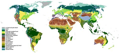 World Map biomes to Improve Your Worldbuilding - Red Ragged Fiend